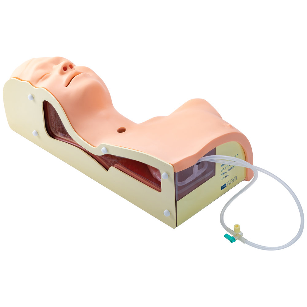 Airway Suction Trainer - Kyoko Kagaku